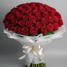 Букет 101 Красная роза Блэк Мэджик в Малоархангельске