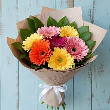Букет цветов из:  Герберы #REPLACE_PRED# Малоархангельске