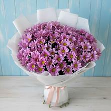Букет цветов из:  Хризантемы #REPLACE_PRED# Малоархангельске