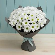 Букет цветов из:  Хризантемы в Малоархангельске