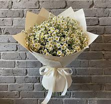 Букет цветов из:  Ромашки в Малоархангельске