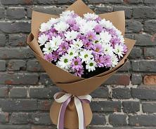 Букет цветов из:  Хризантемы #REPLACE_PRED# Малоархангельске