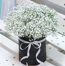 Цветочная композиция из Гипсофила в шляпной коробке #REPLACE_PRED# Малоархангельске