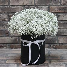 Цветочная композиция из Гипсофила в шляпной коробке в Малоархангельске